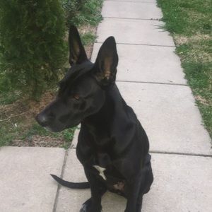 Meet your Posher, Richard